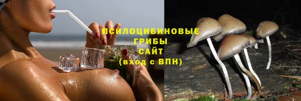 прущий лед Бронницы