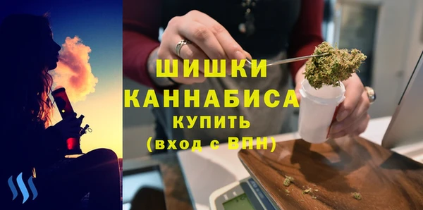 твердый Туринск
