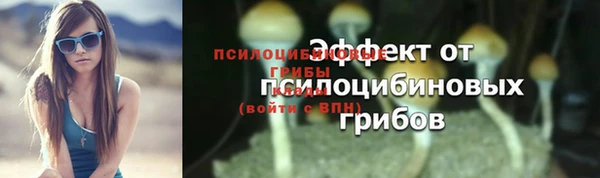 гидропоника Бугульма