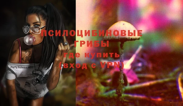 прущий лед Бронницы
