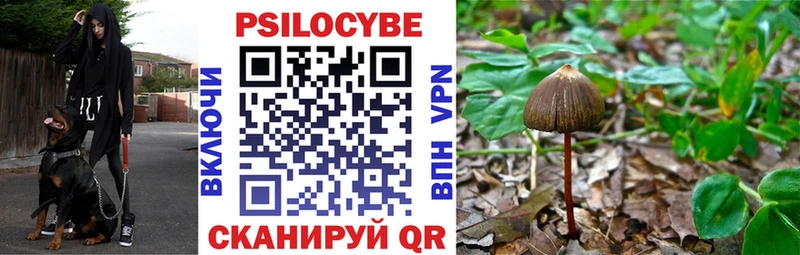 как найти закладки Бузулук Галлюциногенные грибы Magic Shrooms
